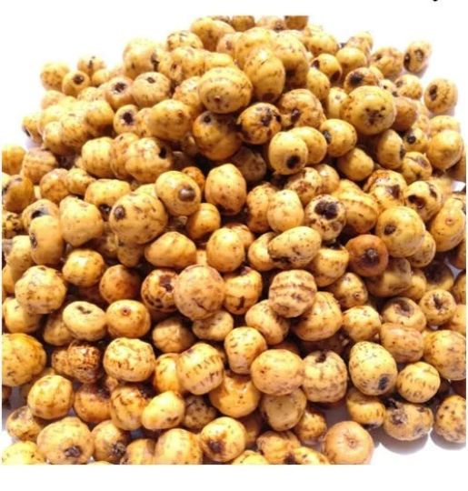 prebotic fiber tiger nuts 450 grams 16oz