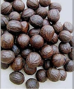 african walnut, nigerian shellnut, nigerian ukpa or asala