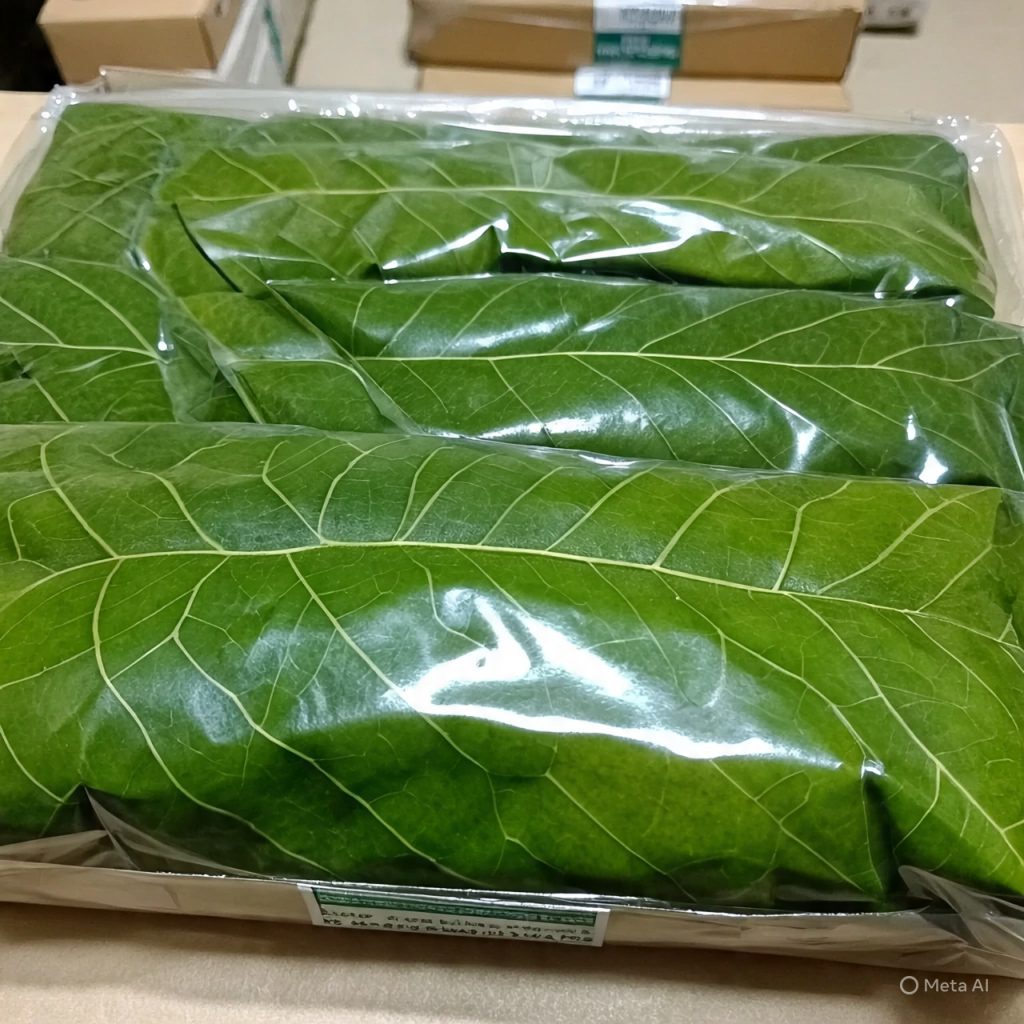 ugwu pumpkin leaf packaged for export