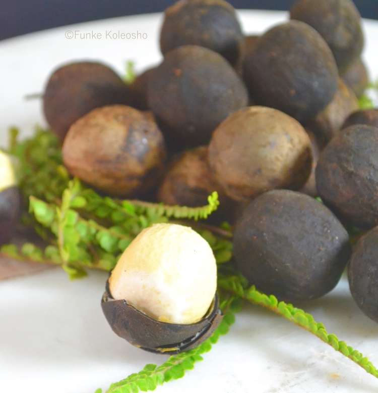 walnut